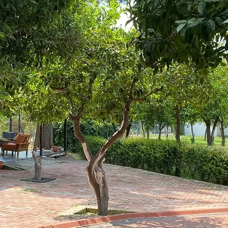 Ξενοδοχείο Omorfi Garden